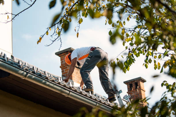 Best Residential Roofing Contractor  in Whitmore Lake, MI