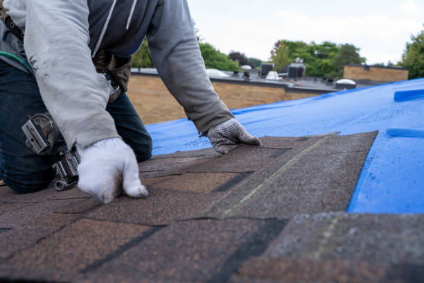 Best Emergency Roof Repair  in Whitmore Lake, MI
