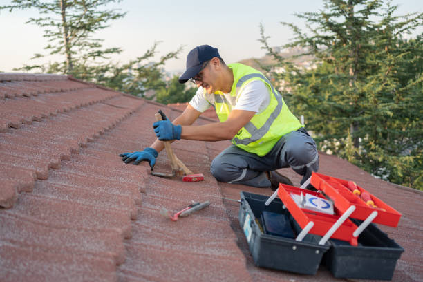 Best Roof Maintenance Services  in Whitmore Lake, MI