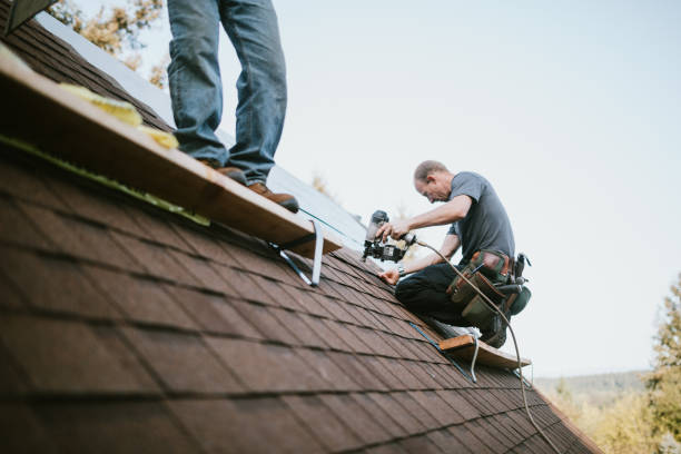 Best Roofing Contractors for Homes  in Whitmore Lake, MI